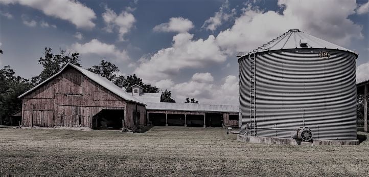 Grain Bin